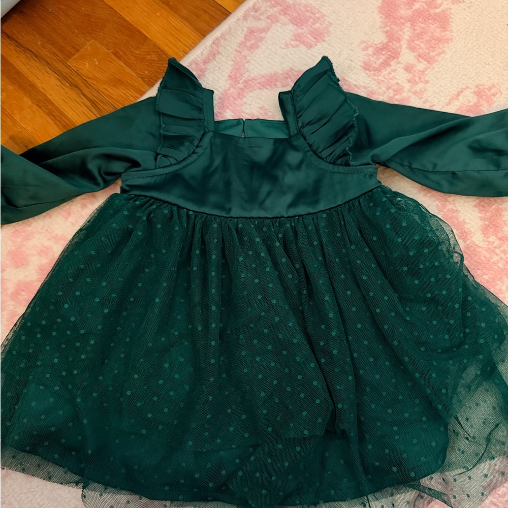 Dark Green Long Sleeve Tulle Party Dress